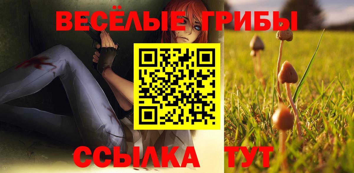 как найти закладки  Вход с VPN  Воронеж  Псилоцибиновые грибы ЛСД  Галлюциногенные грибы прущие грибы 