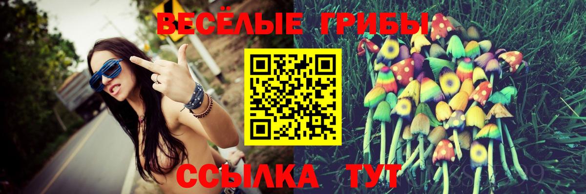 Псилоцибиновые грибы мухоморы Воронеж